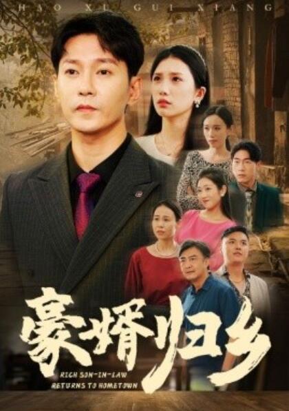 短剧《豪婚归乡（1-71集）》全集免费在线观看-第1张图片-力界网