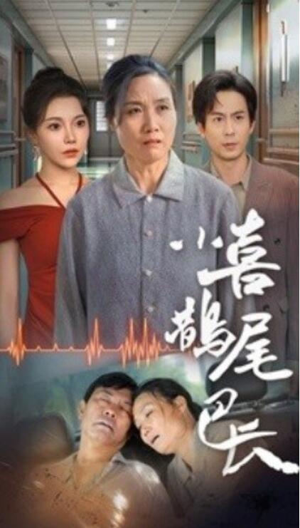 短剧《小喜鹊尾巴长（1-53集）》全集免费在线观看-第1张图片-力界网