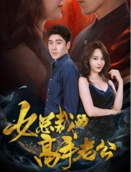 短剧《女总裁的高手老公（75集全）》免费在线观看-第1张图片-力界网