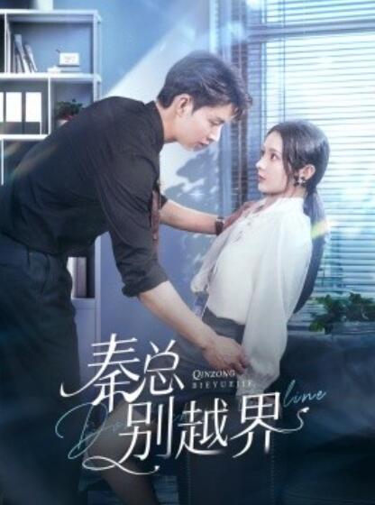 短剧《秦总别越界（91集全）》免费在线观看-第1张图片-力界网