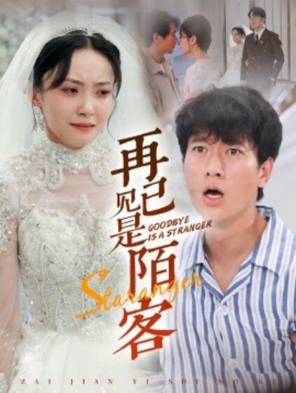 短剧《再见已是陌客（归来的星光）55集全》免费在线观看-第1张图片-力界网