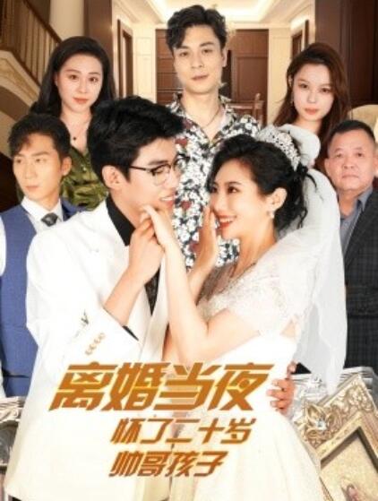 短剧《离婚当夜怀了二十岁帅哥孩子（1-75集）》全集免费在线观看-第1张图片-力界网