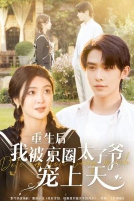短剧《重生后我被京圈太子爷宠上天（78集全）》免费在线观看-第1张图片-力界网