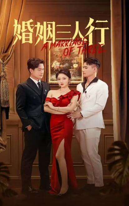 短剧《婚姻三人行（1-31集）》全集免费在线观看-第1张图片-力界网