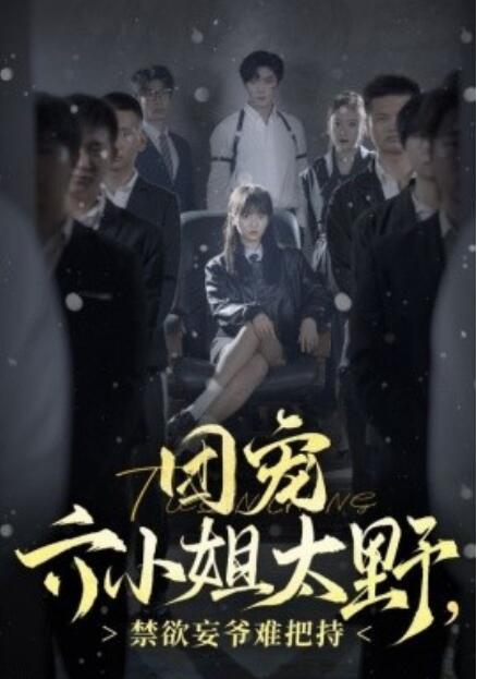 短剧《团宠六小姐太野，禁欲妄爷难把持（90集全）》免费在线观看-第1张图片-力界网
