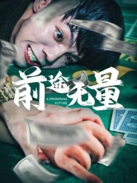短剧《前途无量（1-65集）》全集免费在线观看-第1张图片-力界网