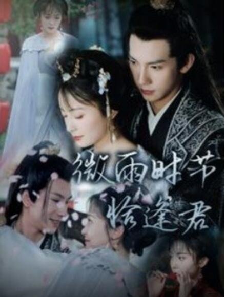短剧《微雨时节恰逢君（1-82集）》全集免费在线观看-第1张图片-力界网