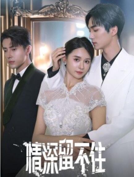 短剧《情深留不住（1-80集）》全集免费在线观看-第1张图片-力界网