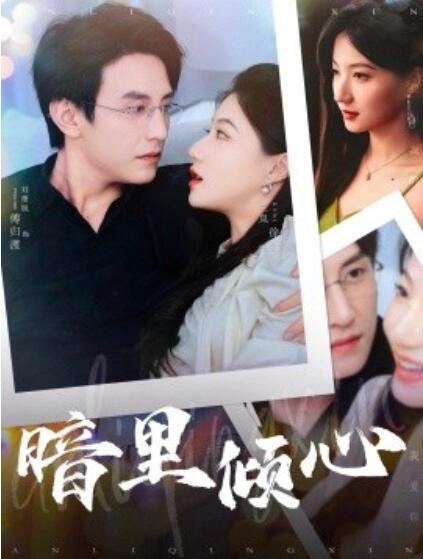 短剧《暗里倾心（1-104集）》全集免费在线观看-第1张图片-力界网