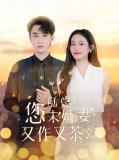 短剧《陆总您未婚妻又作又茶（1-100集）》全集免费在线观看-第1张图片-力界网