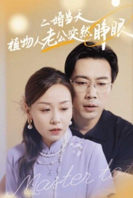 短剧《二婚当天植物人老公突然睁眼（40集全）》免费在线观看-第1张图片-力界网