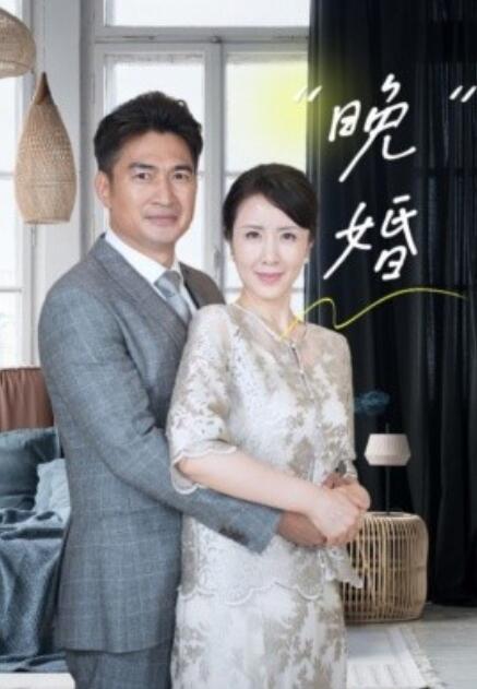 短剧《晚婚（1-65集）》全集免费在线观看-第1张图片-力界网