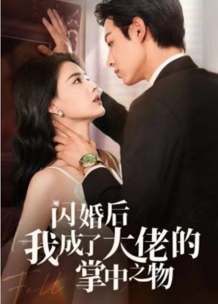 短剧《闪婚后我成了大佬的掌中之物（1-64集）》全集免费在线观看-第1张图片-力界网