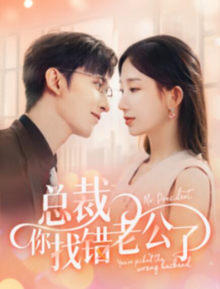 短剧《总裁你找错老公了（1-92集）》全集免费在线观看-第1张图片-力界网