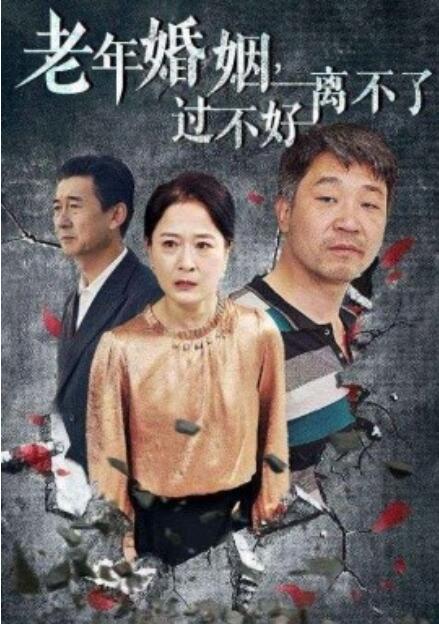 短剧《老年婚姻，过不好离不了（1-50集）》全集免费在线观看-第1张图片-力界网