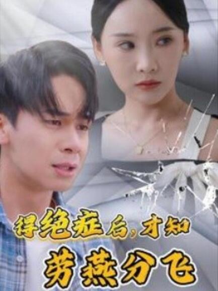 短剧《得绝症后，才知劳燕分飞（1-31集）》全集免费在线观看-第1张图片-力界网