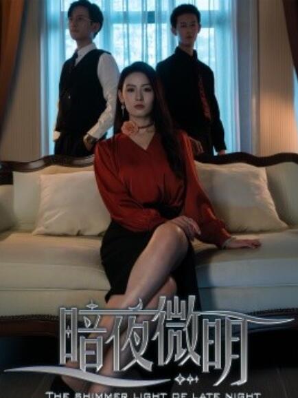 短剧《暗夜微明（1-70集）》全集免费在线观看-第1张图片-力界网