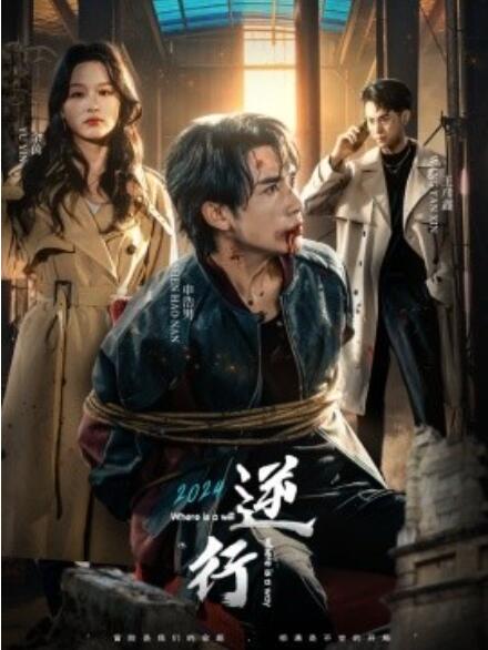 短剧《逆行（1-83集）》全集免费在线观看-第1张图片-力界网
