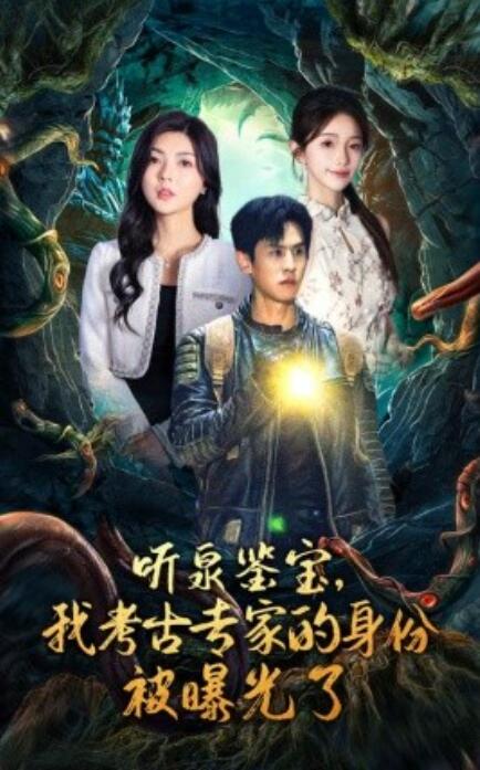 短剧《听泉鉴宝，我考古专家的身份被曝光了（62集全）》免费在线观看-第1张图片-力界网