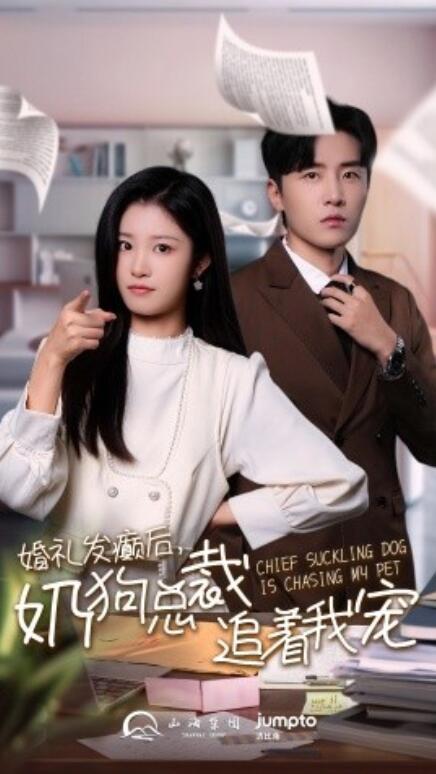 短剧《婚礼发癫后，奶狗总裁追着我宠（80集全）》免费在线观看-第1张图片-力界网