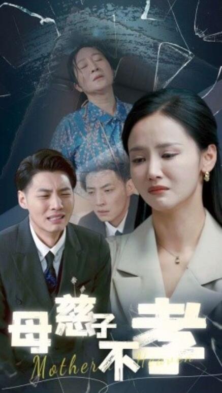 短剧《母慈子不孝（1-30集）》全集免费在线观看-第1张图片-力界网