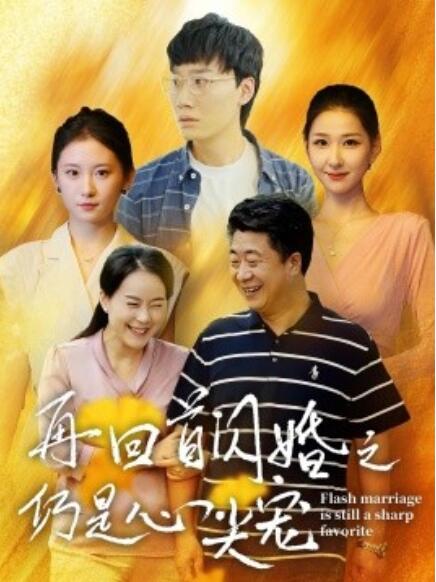 短剧《再回首闪婚之仍是心尖宠（36集全）》免费在线观看-第1张图片-力界网