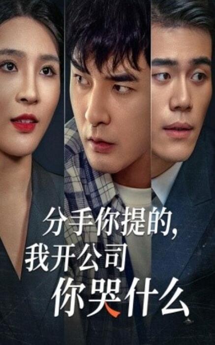 短剧《分手你提的，我开公司你哭什么（61集全）》免费在线观看-第1张图片-力界网