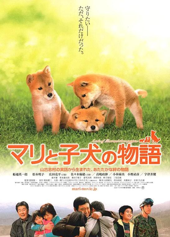 电影《爱犬的奇迹》高清HD1080p完整版在线免费观看-第1张图片-力界网 电影《爱犬的奇迹》高清HD1080p完整版在线免费观看-第1张图片-力界网