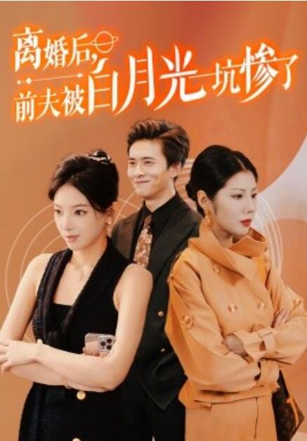 短剧《离婚后，前夫被白月光坑惨了（60集全）》免费在线观看-第1张图片-力界网