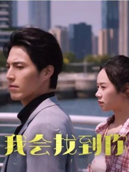 短剧《我会找到你（1-95集）》全集免费在线观看-第1张图片-力界网