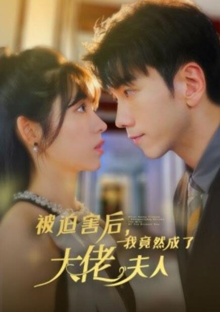 短剧《被迫害后，我竟然成了大佬夫人（60集全）》免费在线观看-第1张图片-力界网