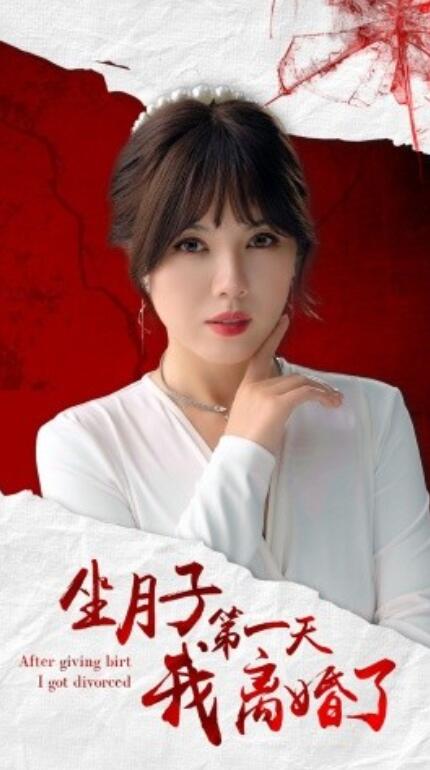 短剧《坐月子第一天我离婚了（1-30集）》全集免费在线观看-第1张图片-力界网