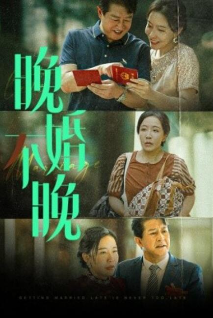 短剧《晚婚不晚（1-30集）》全集免费在线观看-第1张图片-力界网