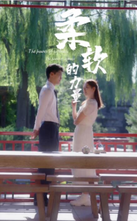短剧《柔软的力量（1-80集）》全集免费在线观看-第1张图片-力界网