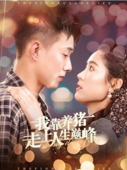 短剧《我靠养猪走上人生巅峰（1-60集）》全集免费在线观看-第1张图片-力界网