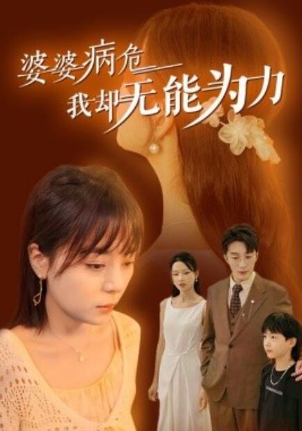短剧《婆婆病危我却无能为力（30集全）》免费在线观看-第1张图片-力界网