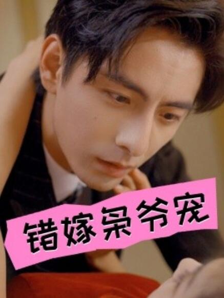 短剧《错嫁枭爷宠（89集全）》免费在线观看-第1张图片-力界网