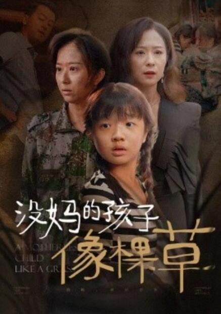 短剧《没妈的孩子像棵草（50集全）》免费在线观看-第1张图片-力界网