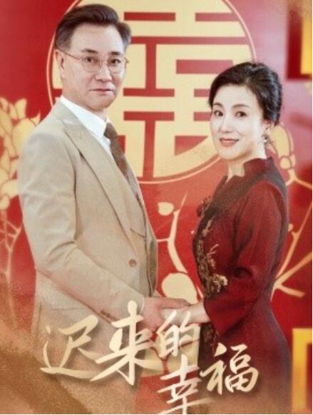 短剧《迟来的幸福（35集全）》免费在线观看-第1张图片-力界网