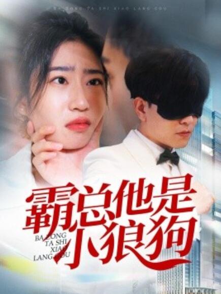 短剧《霸总他是小狼狗（31集全）》免费在线观看-第1张图片-力界网