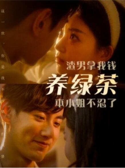 短剧《渣男拿我钱养绿茶，本小姐不忍了（70集全）》免费在线观看-第1张图片-力界网