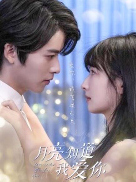 短剧《月亮知道我爱你（62集全）》免费在线观看-第1张图片-力界网