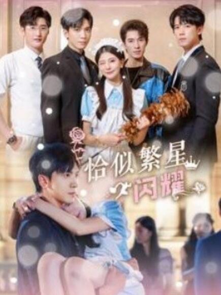 短剧《恰似繁星闪耀（74集全）》免费在线观看-第1张图片-力界网