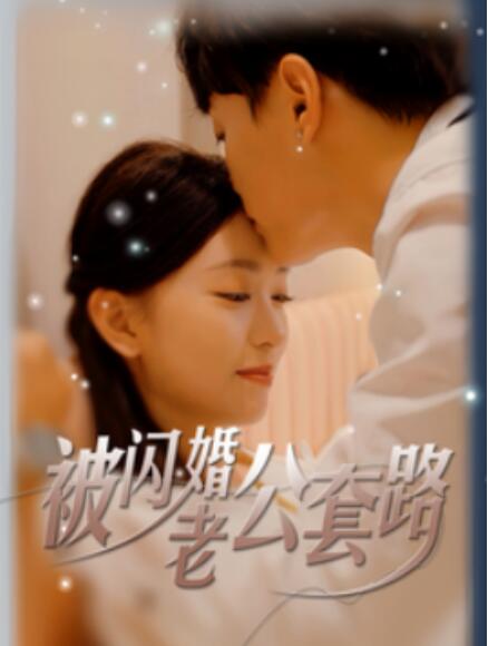 短剧《被闪婚老公套路（40集全）》免费在线观看-第1张图片-力界网