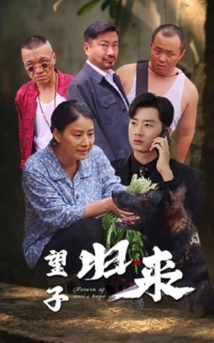 短剧《望子归来（50集全）》免费在线观看-第1张图片-力界网