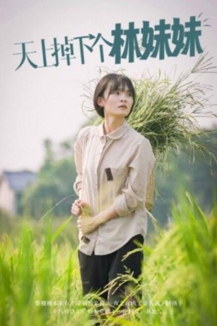短剧《天上掉下个林妹妹（81集全）》免费在线观看-第1张图片-力界网