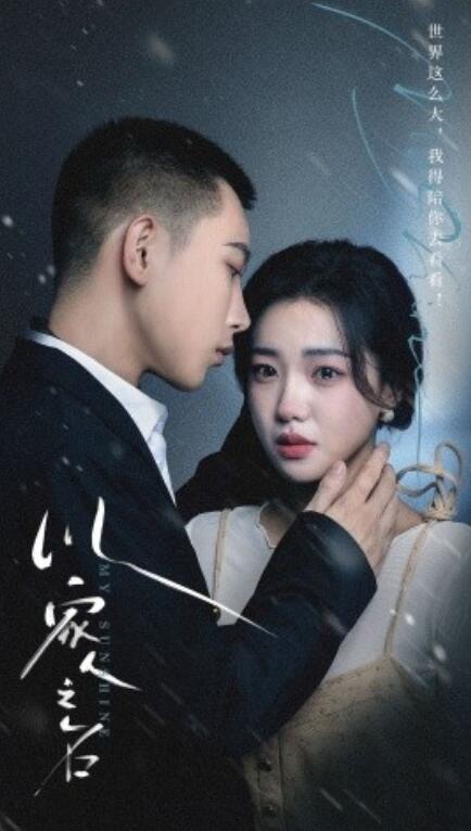 短剧《以家人之名（80集全）》免费在线观看-第1张图片-力界网
