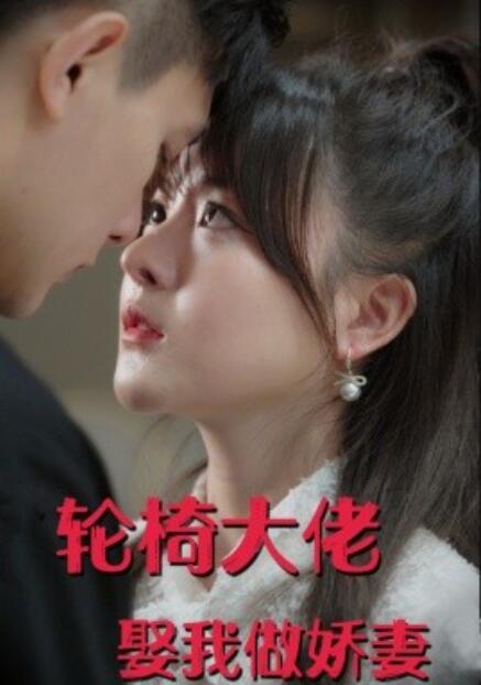 短剧《轮椅大佬娶我做娇妻（100集全）》免费在线观看-第1张图片-力界网