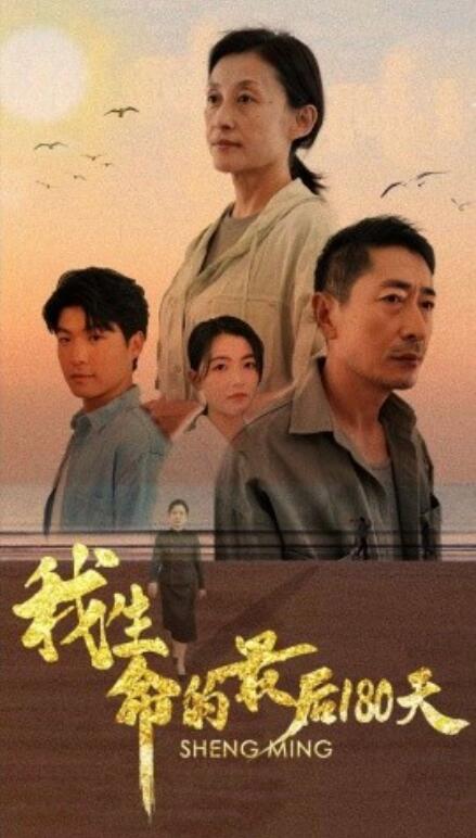 短剧《我生命的最后180天（80集全）》免费在线观看-第1张图片-力界网