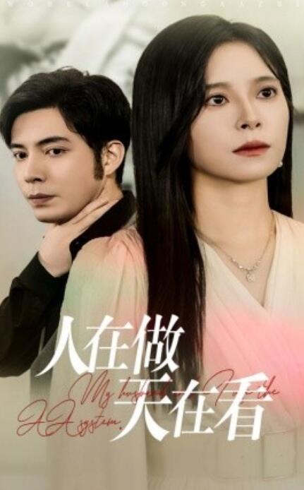 短剧《人在做天在看（42集全）》免费在线观看-第1张图片-力界网